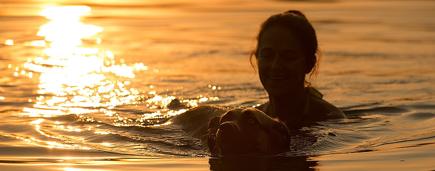 Baden mit Hund in Wien