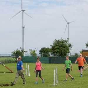 Agility Turnier des ÖSPSC