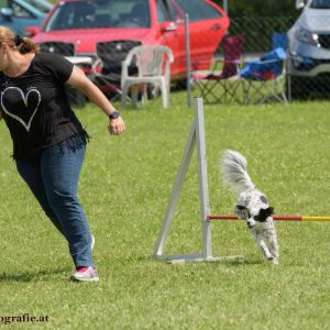 Agility Turnier des ÖSPSC