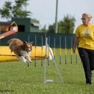 Agility Turnier des ÖSPSC