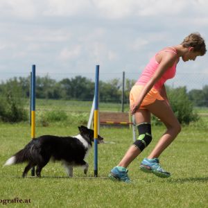 Agility Turnier des ÖSPSC