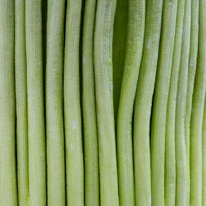 Amorphophallus_titanum_DSCF4810.jpg