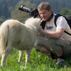 Urlaub mit Hund auf Gut Feuerschwendt