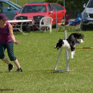 Agility Turnier des ÖSPSC