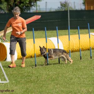 Agility Turnier des ÖSPSC