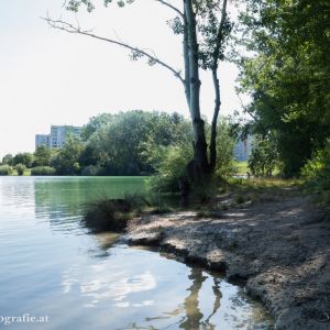 Badeteich Hirschstetten