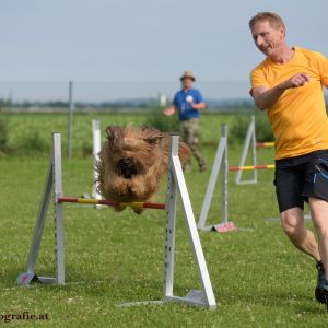 Agility Turnier des ÖSPSC