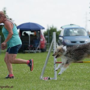 Agility Turnier des ÖSPSC