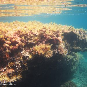 Urlaub auf Zakynthos in der Sommerakademie