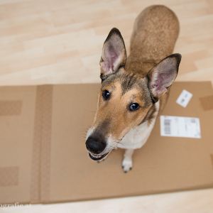 Ronja freut sich über das Päckchen!