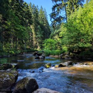 Der Kamp ist mit einer Länge von 153 Kilometern der längste Fluss im Waldviertel