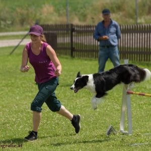 Agility Turnier des ÖSPSC