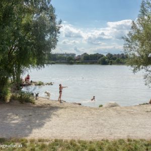 Hundestrand Donauinsel Nord