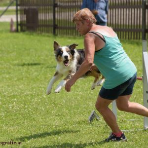 Agility Turnier des ÖSPSC