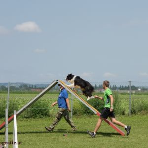 Agility Turnier des ÖSPSC