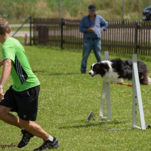 Agility Turnier des ÖSPSC