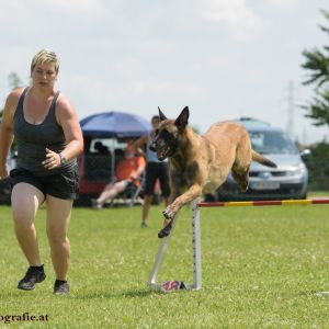 Agility Turnier des ÖSPSC