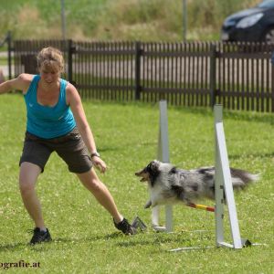 Agility Turnier des ÖSPSC