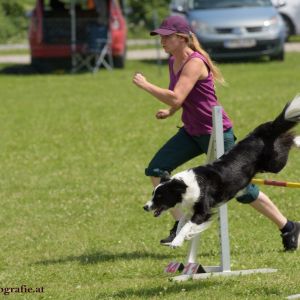 Agility Turnier des ÖSPSC