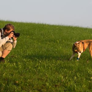 Urlaub mit Hund auf Gut Feuerschwendt