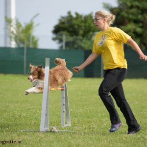 Agility Turnier des ÖSPSC