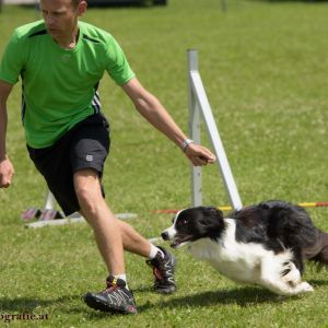 Agility Turnier des ÖSPSC