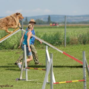 Agility Turnier des ÖSPSC