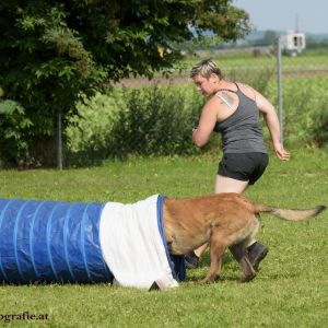 Agility Turnier des ÖSPSC