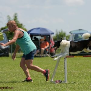 Agility Turnier des ÖSPSC