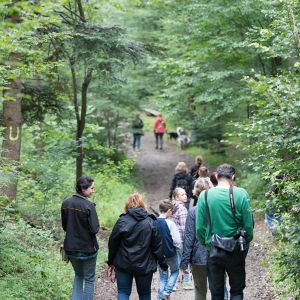 Kurzhaarcollie Treffen in Sulz im Wienerwald