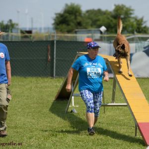 Agility Turnier des ÖSPSC