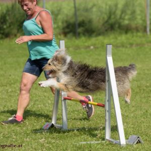 Agility Turnier des ÖSPSC