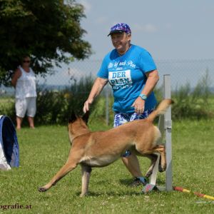 Agility Turnier des ÖSPSC