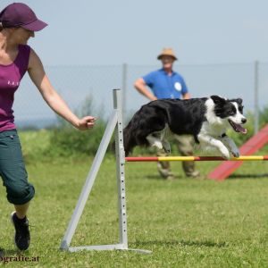 Agility Turnier des ÖSPSC