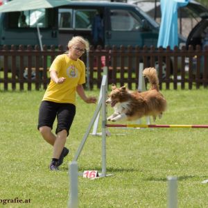 Agility Turnier des ÖSPSC