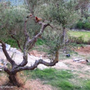 Urlaub auf Zakynthos in der Sommerakademie