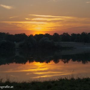 Badeteich Süßenbrunn