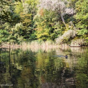 Silbersee