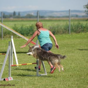 Agility Turnier des ÖSPSC