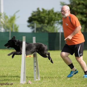 Agility Turnier des ÖSPSC