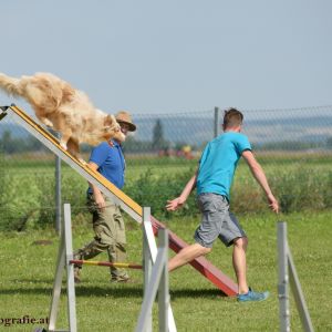 Agility Turnier des ÖSPSC