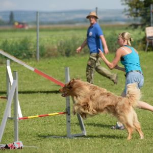 Agility Turnier des ÖSPSC