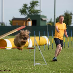 Agility Turnier des ÖSPSC