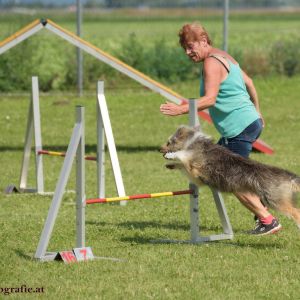 Agility Turnier des ÖSPSC