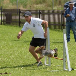 Agility Turnier des ÖSPSC