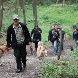 Kurzhaarcollie Treffen in Sulz im Wienerwald