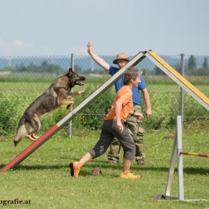 Agility Turnier des ÖSPSC