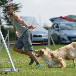 Agility Turnier des ÖSPSC