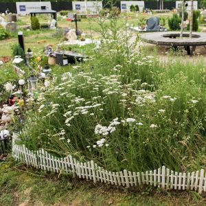 Tierfriedhof Wien