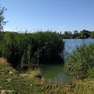 Wienerberg-Teich